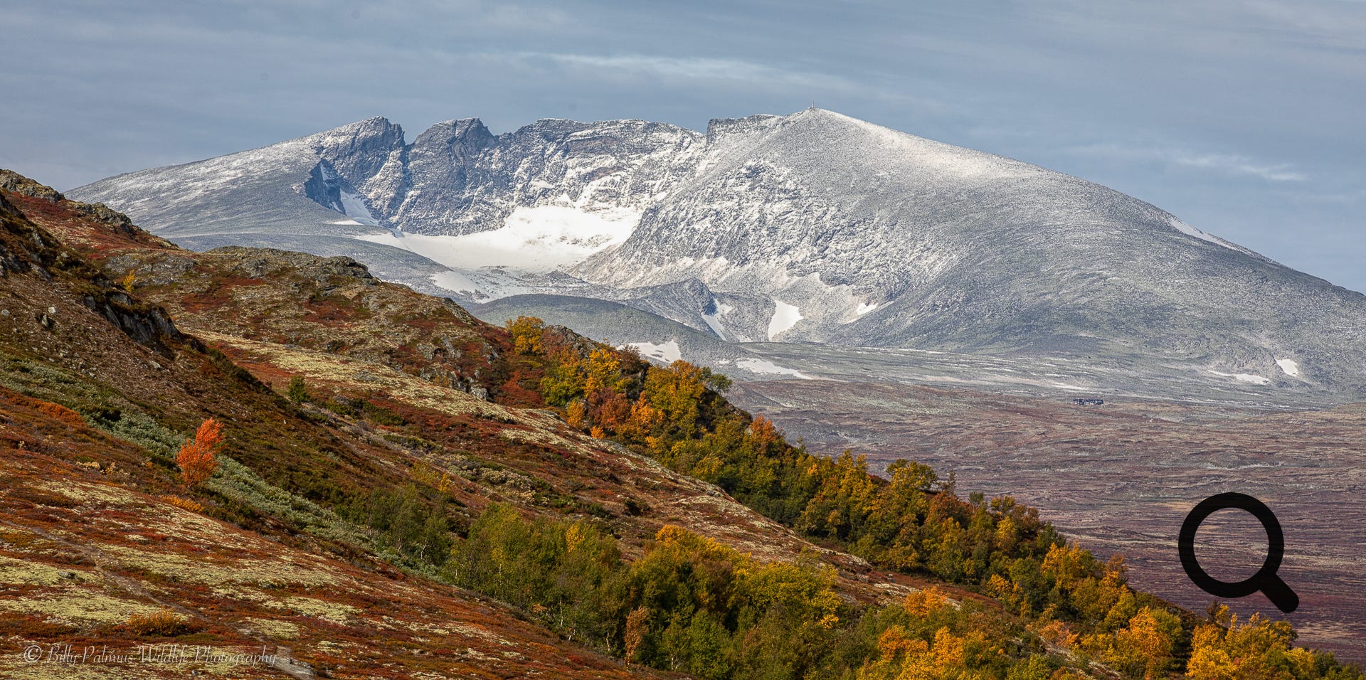 Pictures from Dovrefjell